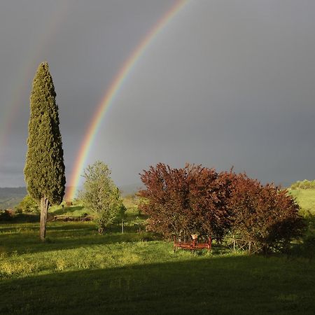 Agriturismo Spazzavento Palazzone エクステリア 写真