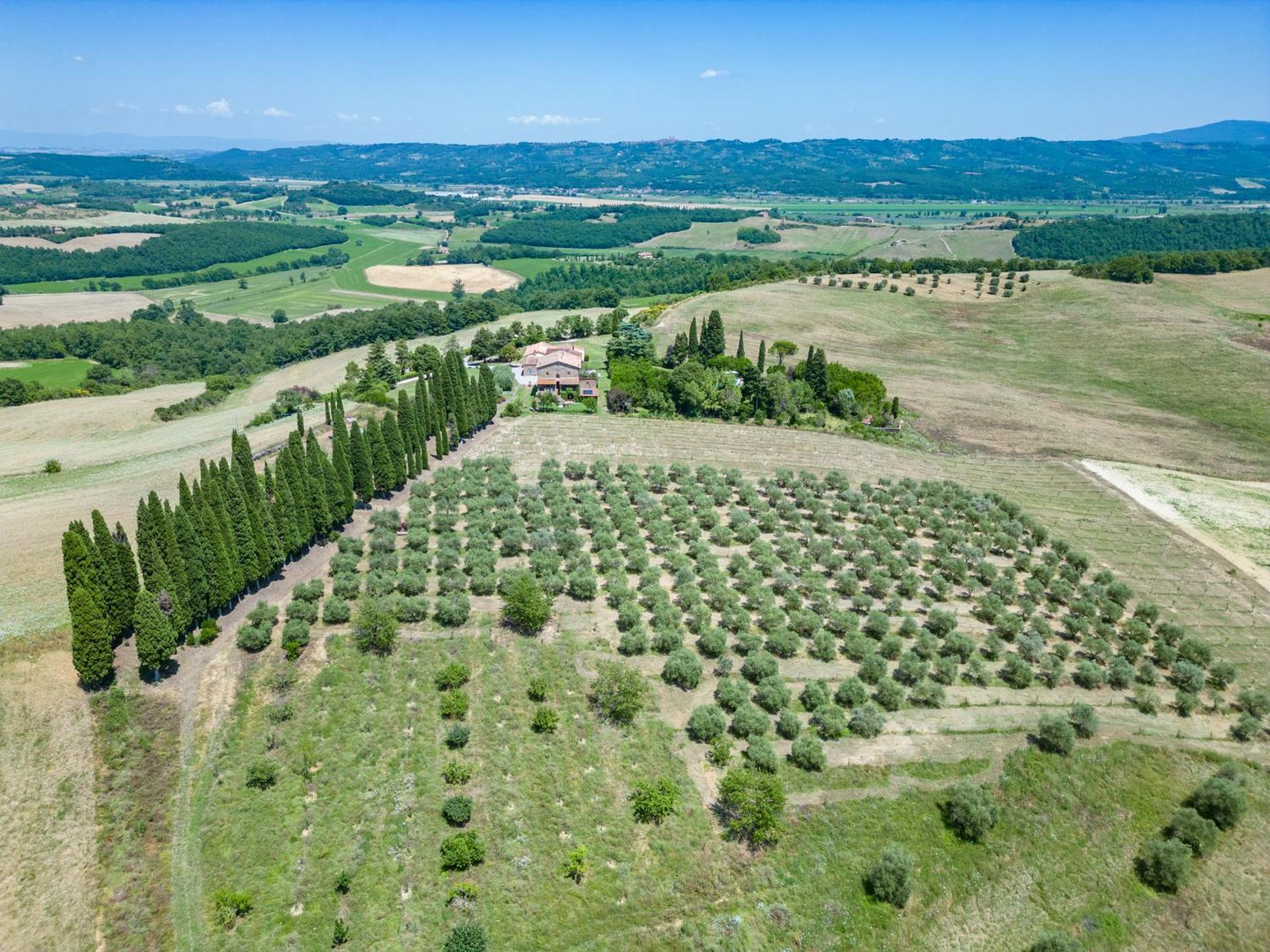 Agriturismo Spazzavento Palazzone エクステリア 写真